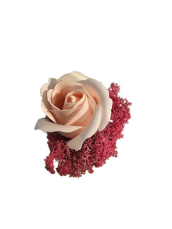 Bijutricotaje.ro | Eleganță și delicatețe într-un cadru natural, aranjament cu licheni stabilizați și trandafir roz Bijutricotaje.ro|Eleganță și delicatețe într-un cadru natural, aranjament cu licheni stabilizați și trandafir roz