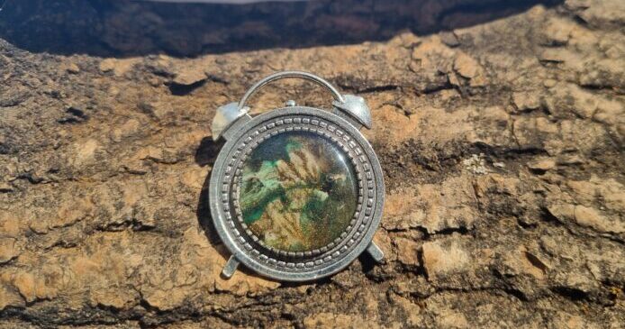 Bijutricotaje.ro | Misterul pictat: broșa înălțând enigma și culoarea Bijutricotaje.ro|Misterul pictat: broșa înălțând enigma și culoarea